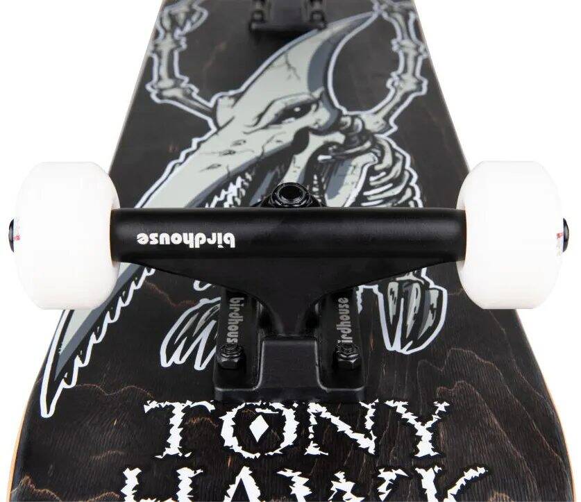 Birdhouse Stage 3 Hawk Pterodactyl Complete Skateboard - Black 7.5''