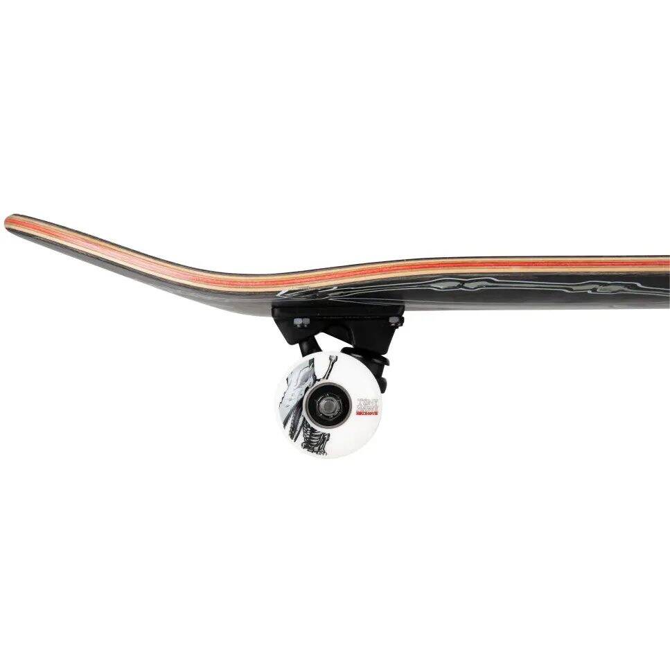 Birdhouse Stage 3 Hawk Pterodactyl Complete Skateboard - Black 7.5''