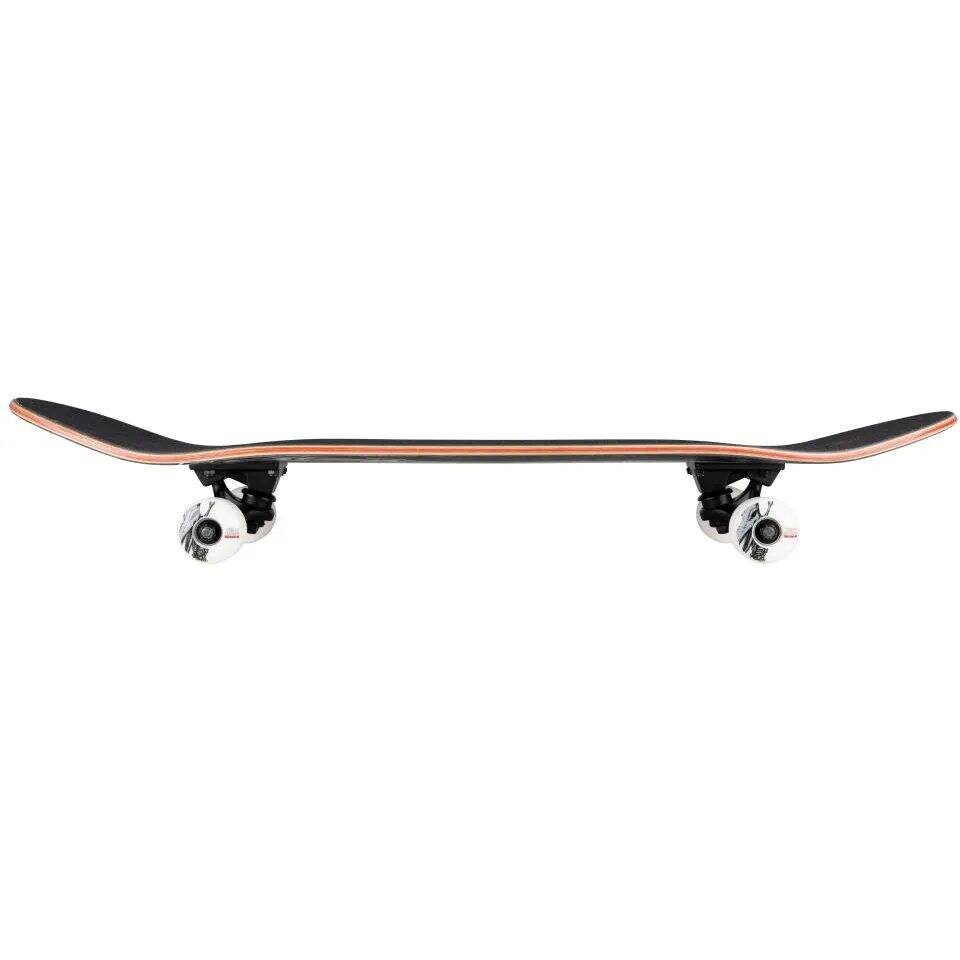 Birdhouse Stage 3 Hawk Pterodactyl Complete Skateboard - Black 7.5''
