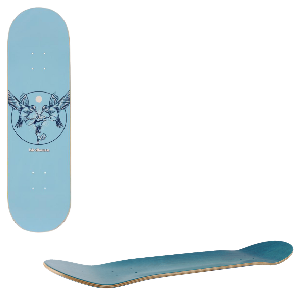 Birdhouse Hummingbird Logo Skateboard Deck - Blue 8.25"