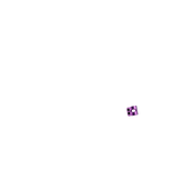 Blunt Twin Slit Double Clamp - Purple