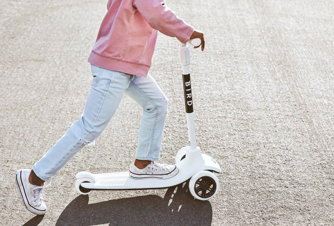 BIRD Birdie V2 3 Wheeled Scooter - Dove White