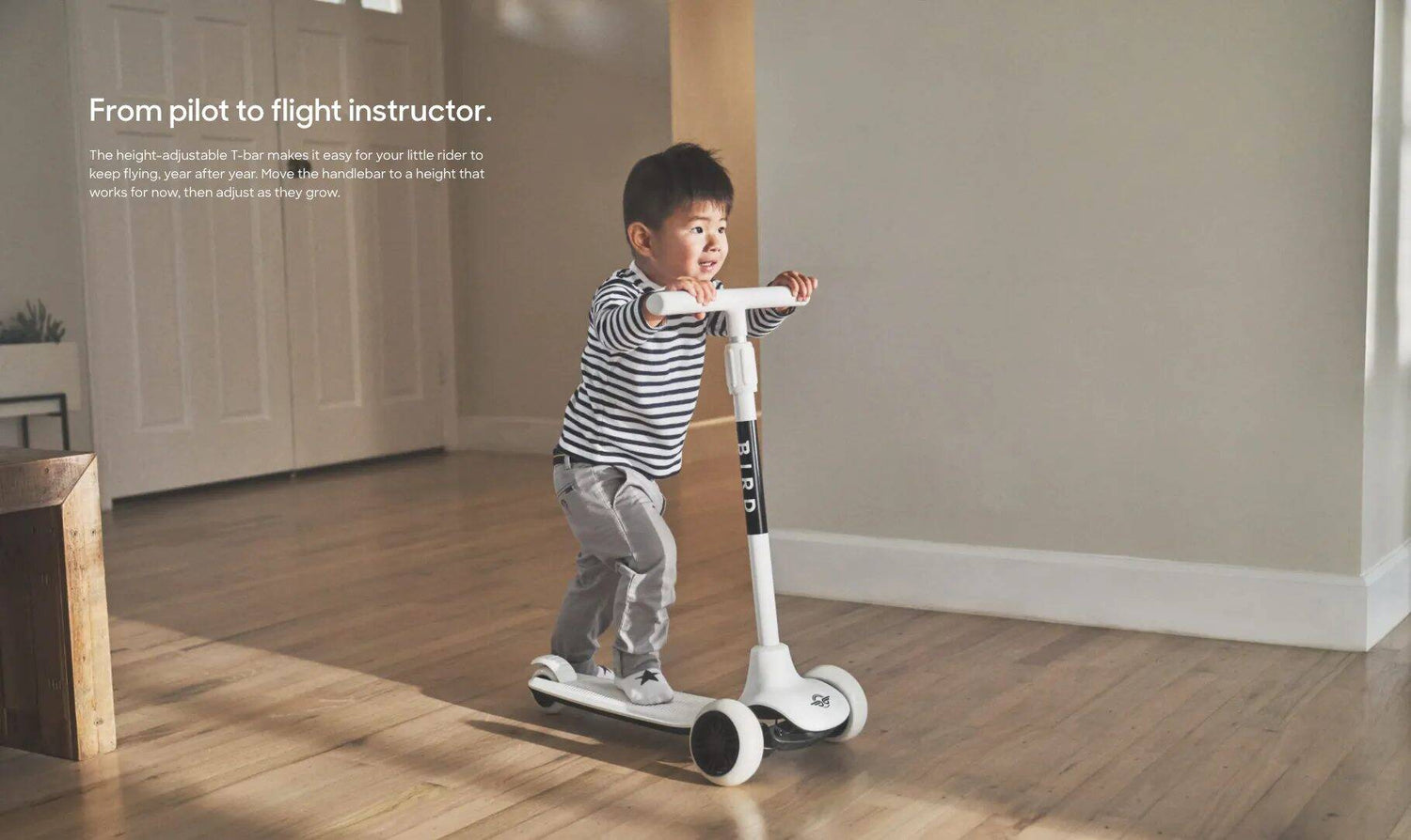 BIRD Birdie V2 3 Wheeled Scooter - Dove White