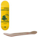 Chocolate Be Nice Skateboard Deck - Tershy 8.5"