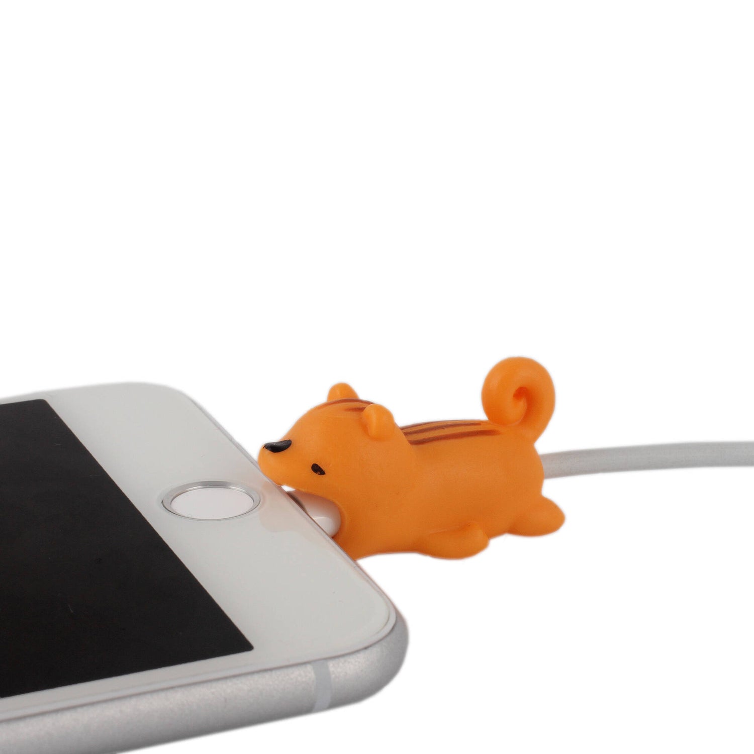 C@SE CABLE BITES SAM SQUIRREL