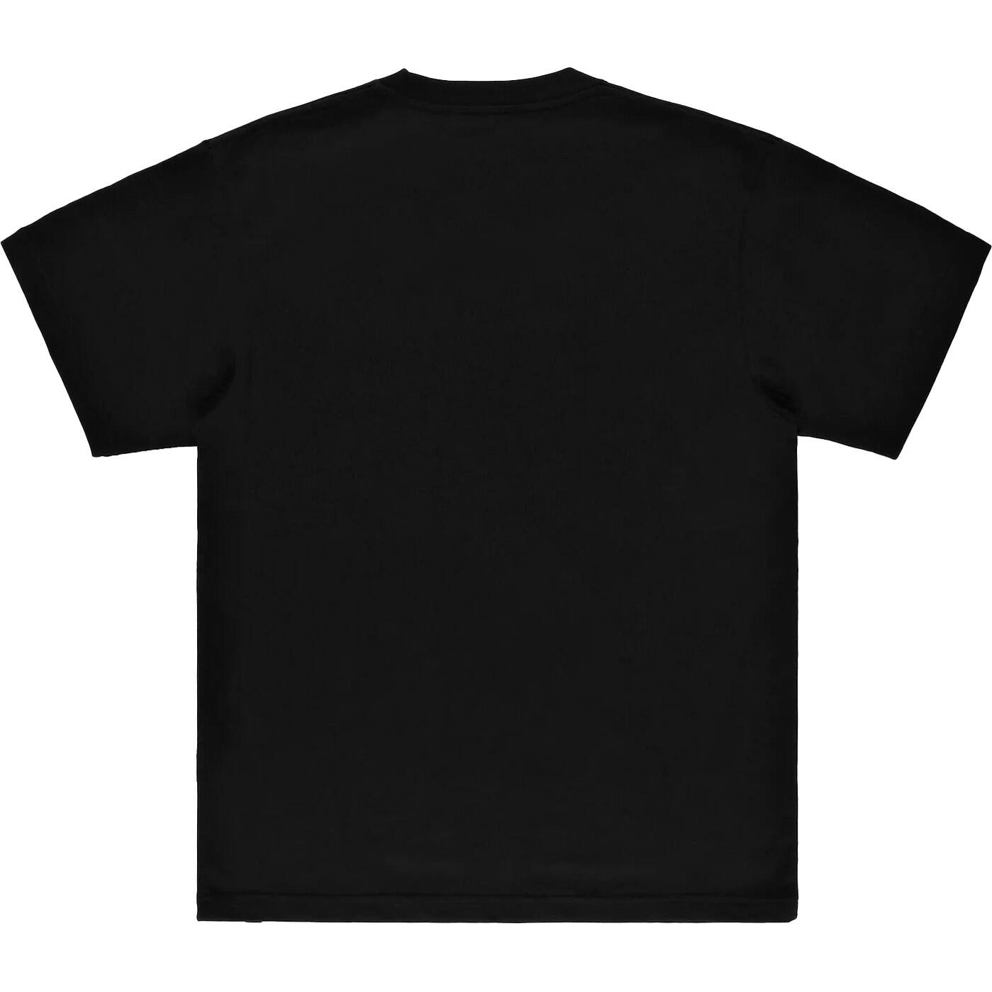 DC Star Fill T Shirt - Black/Stone Camo