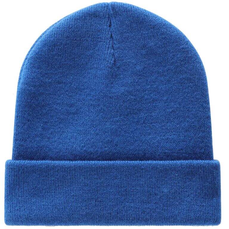 Dickies Gibsland Beanie - True Blue
