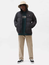 Dickies Waldenburg Jacket - Black