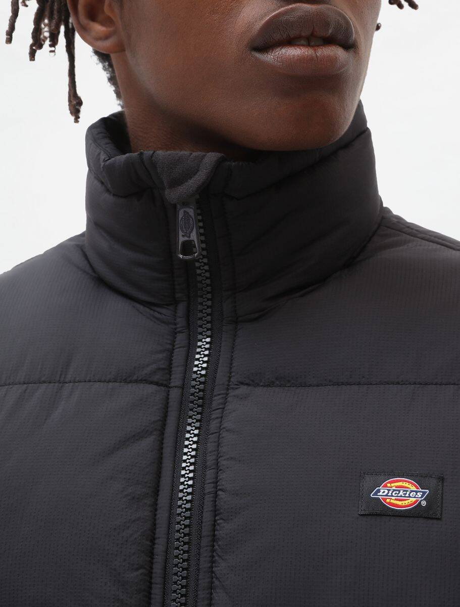 Dickies Waldenburg Jacket - Black