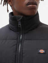 Dickies Waldenburg Jacket - Black