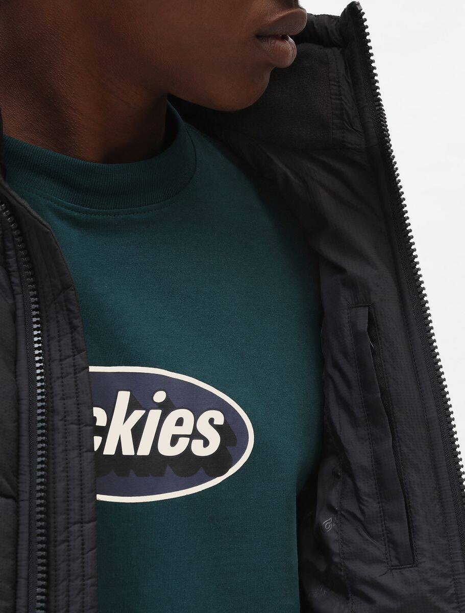 Dickies Waldenburg Jacket - Black