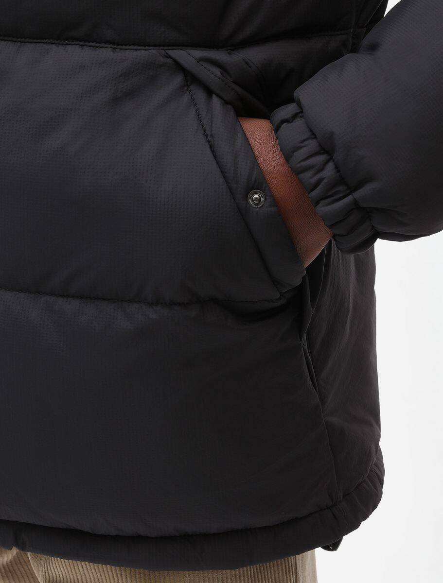 Dickies Waldenburg Jacket - Black