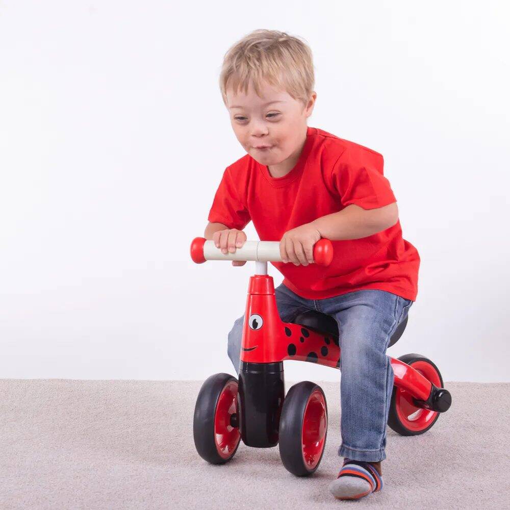 Didicar Diditrike Trike - Ladybird