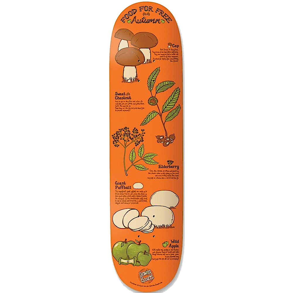 Drawing Boards Food For Free Autumn Skateboard Deck 7.5''