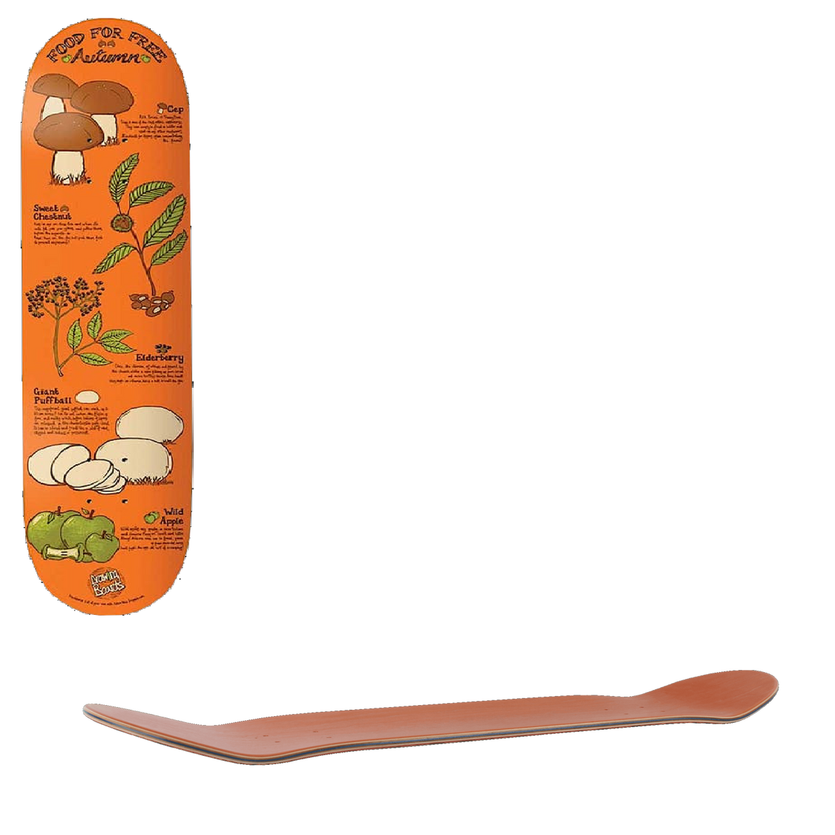Drawing Boards Food For Free Autumn Skateboard Deck 7.5''