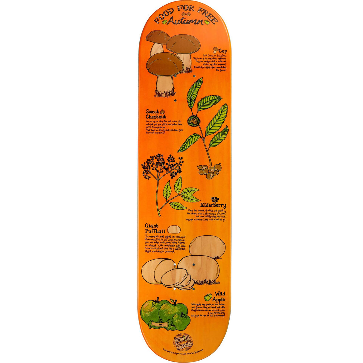 Drawing Boards Food For Free Autumn Skateboard Deck 8.25''