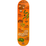 Drawing Boards Food For Free Autumn Skateboard Deck 8.25''