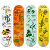 Drawing Boards Food For Free Autumn Skateboard Deck 8.25''
