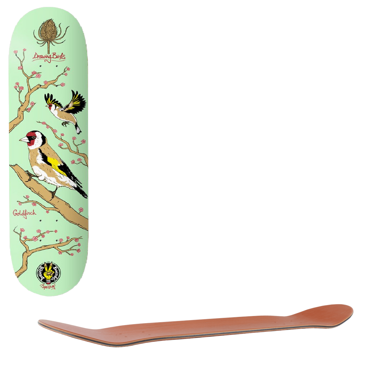 Drawing Boards Goldfinch Skateboard Deck 8.5''