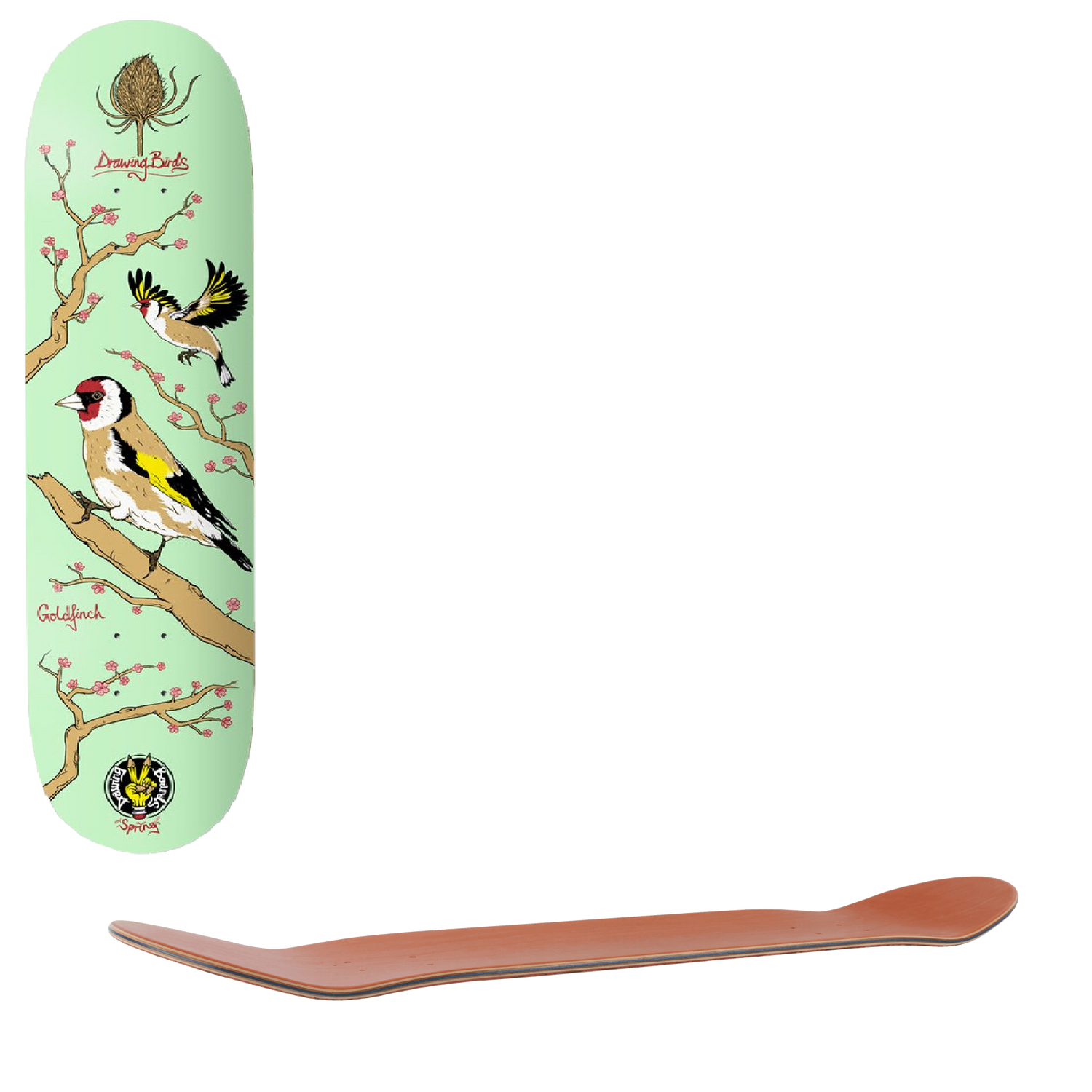 Drawing Boards Goldfinch Skateboard Deck 8.5''