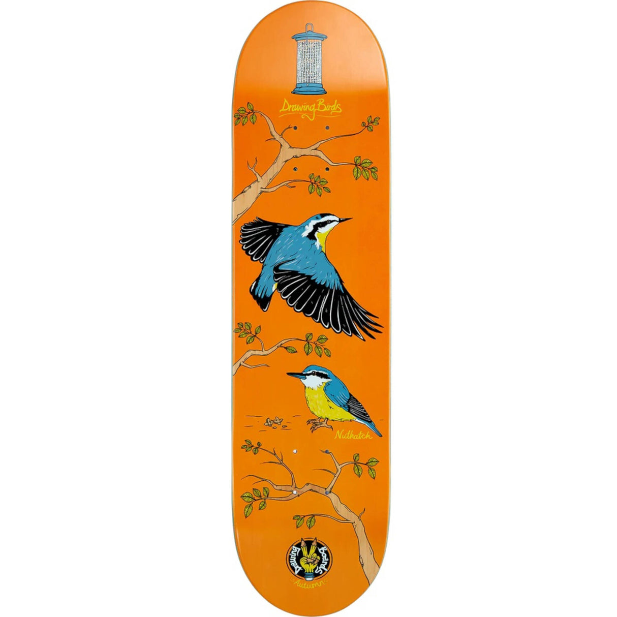 Drawing Boards Birds Series Skateboard Deck - Nuthatch 8.5"