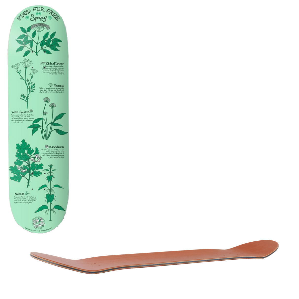 Drawing Boards Food For Free Spring Skateboard Deck 7.75"
