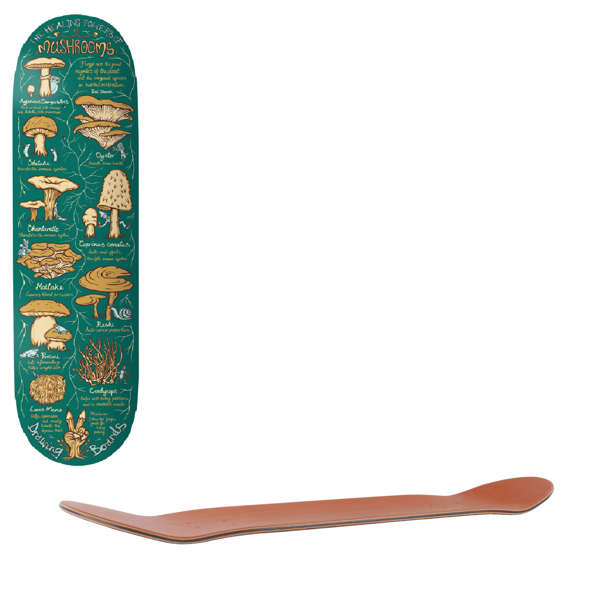 Drawing Boards Shroom Skateboard Deck 8.0''
