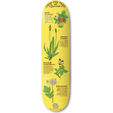 Drawing Boards Summer Skateboard Deck 8.25''