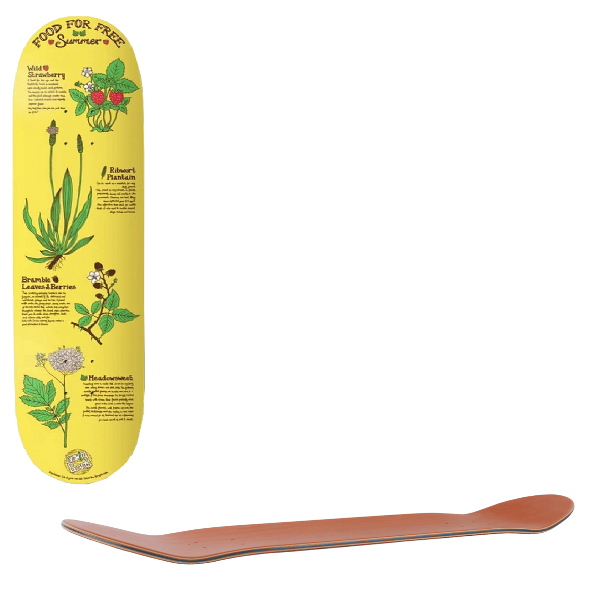 Drawing Boards Food For Free Summer Skateboard Deck 8.0''