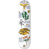 Drawing Boards Winter Skateboard Deck 7.75''