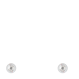 Drone Identity Hollowcore 110mm Scooter Wheel - Raw