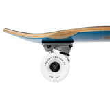 D-Street Palm Complete Cruiser - Blue 29.5''