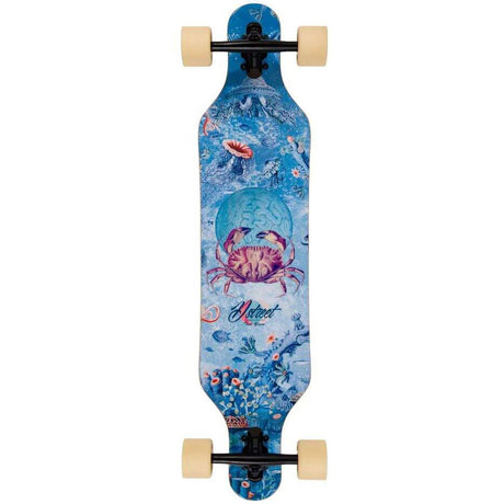 D-Street Reef Drop Through Complete Longboard - Multi 37''