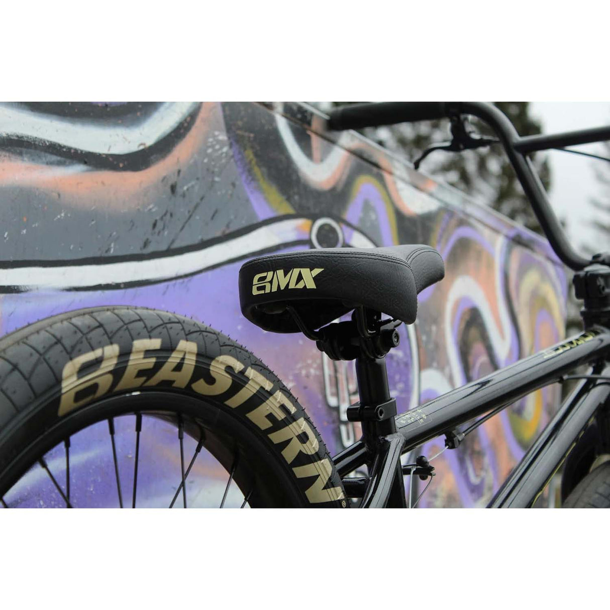 Eastern Cobra 20" Complete BMX - Black