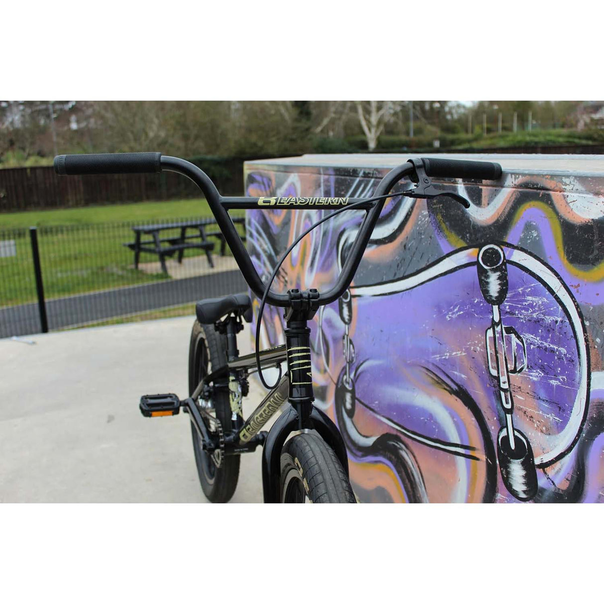 Eastern Cobra 20" Complete BMX - Black