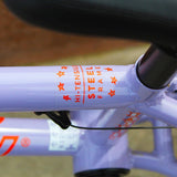 Eastern Paydirt 20" Complete BMX - Light Purple/Orange