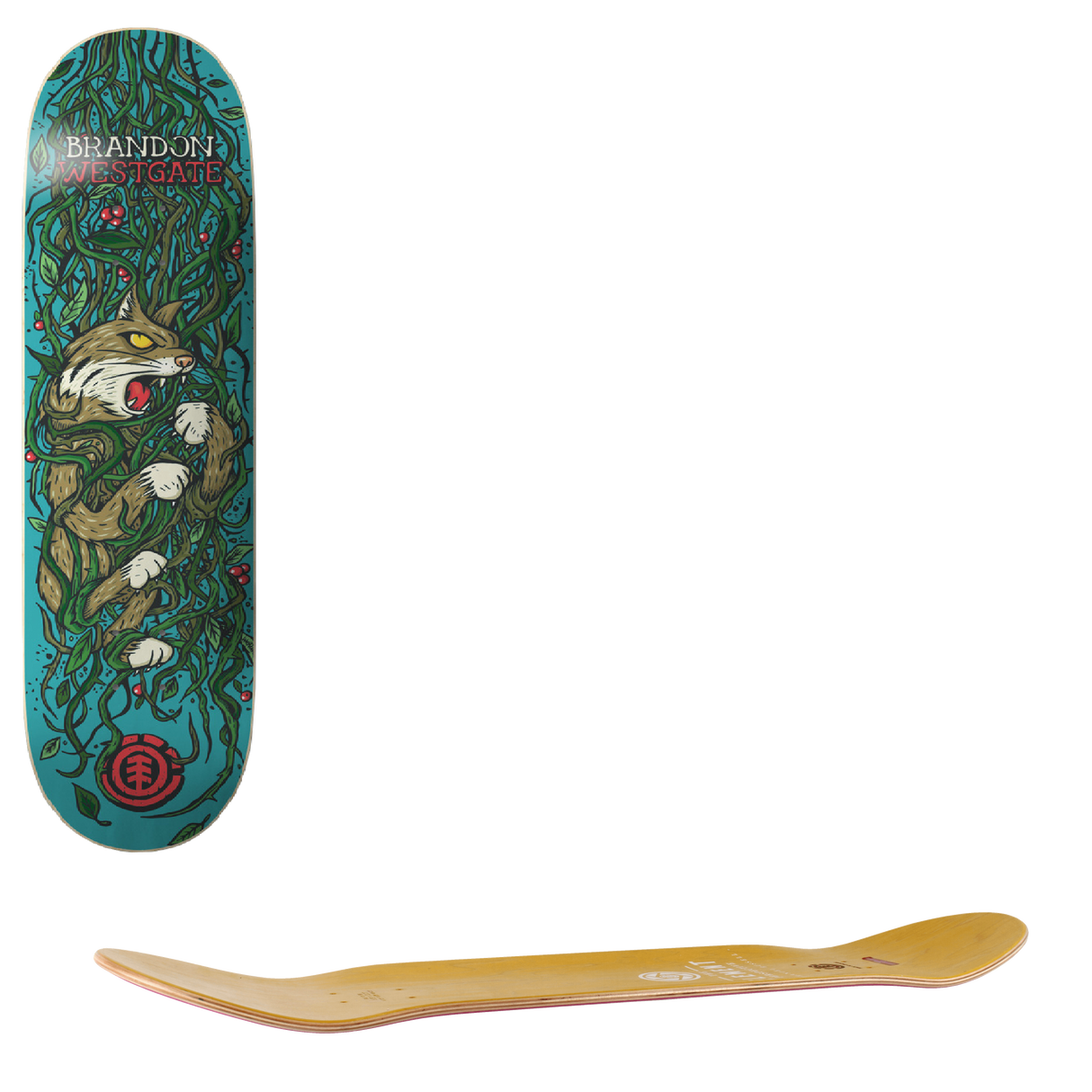 Element Trapped Skateboard Deck - Blue 8"