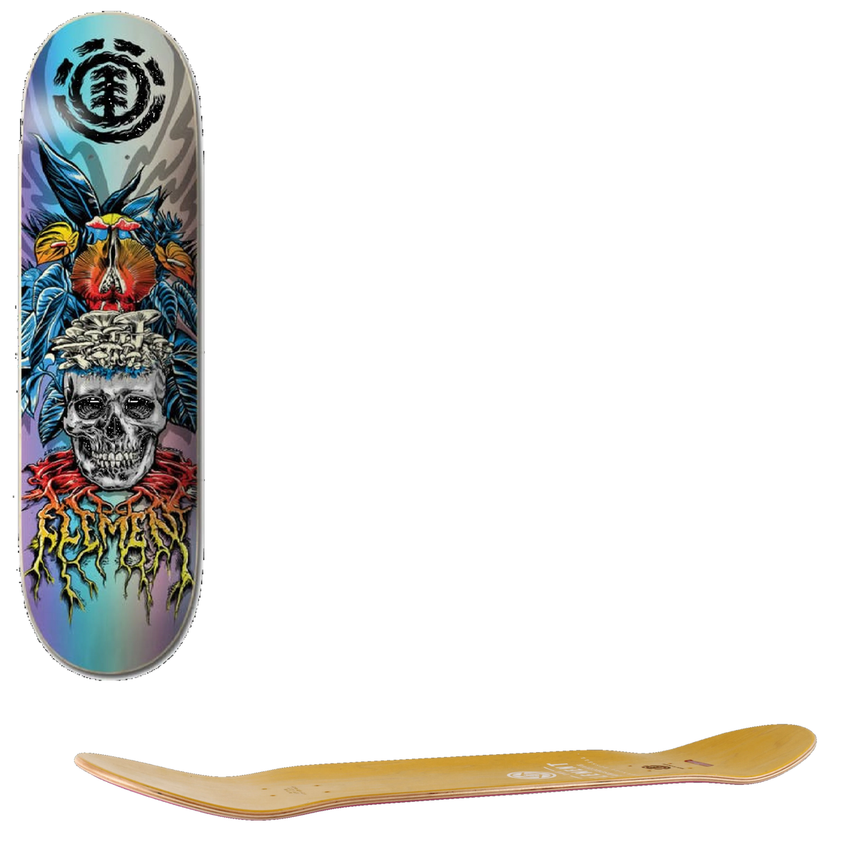 Element Lamour Skull Skateboard Deck - 8.25''