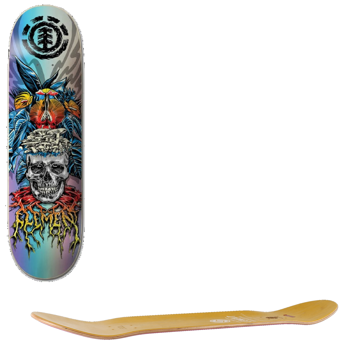 Element Lamour Skull Skateboard Deck - 8.25''