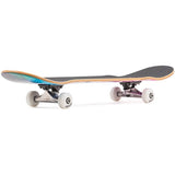 Enuff Geometric Complete Skateboard - Purple