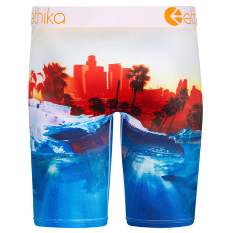 Ethika Polar World Boxers