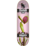 Flip Flower Power Gonzales Complete Skateboard 8.25"