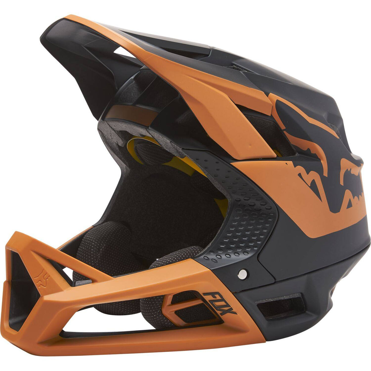 Fox ProFrame TUK Full Face Helmet - Black/Gold