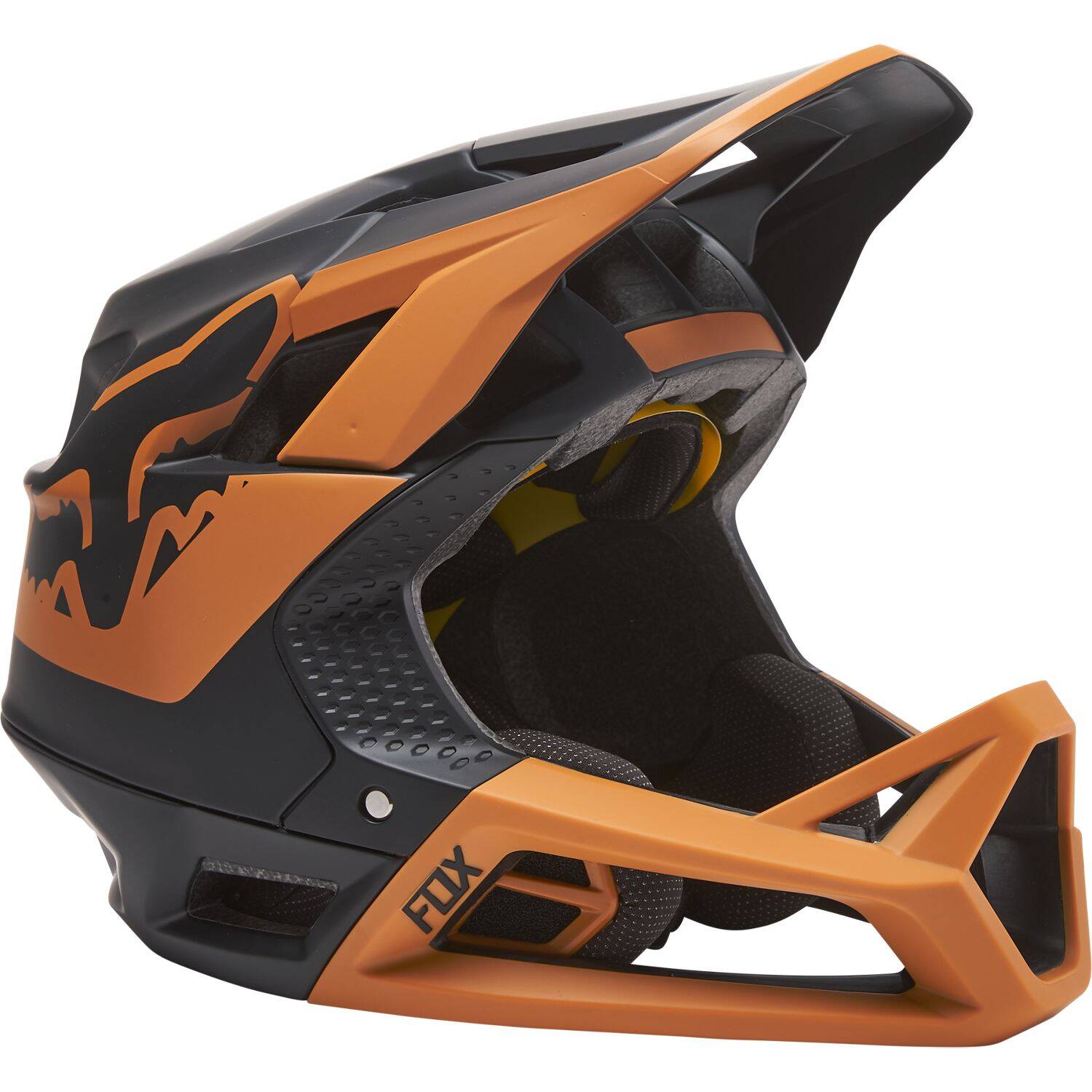 Fox ProFrame TUK Full Face Helmet - Black/Gold