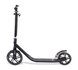 Frenzy 250mm Recreational Complete Scooter - Black