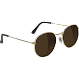 Glassy Hudson Sunglasses - Black/Brown Lens