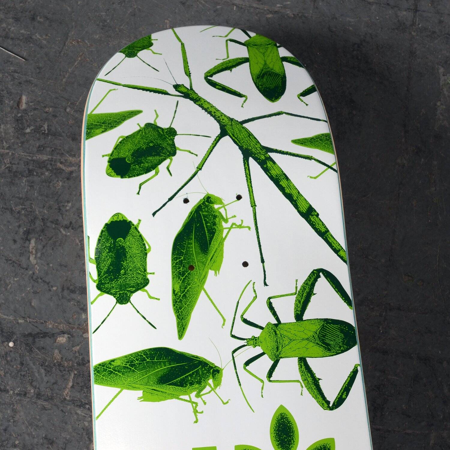 Habitat Insecta Skateboard Deck - Green 7.75