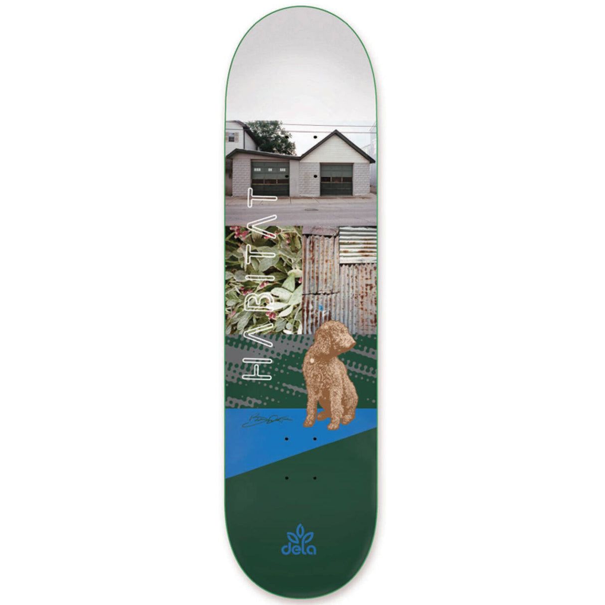 Habitat Eye Level Skateboard Deck - Dela 8.125''