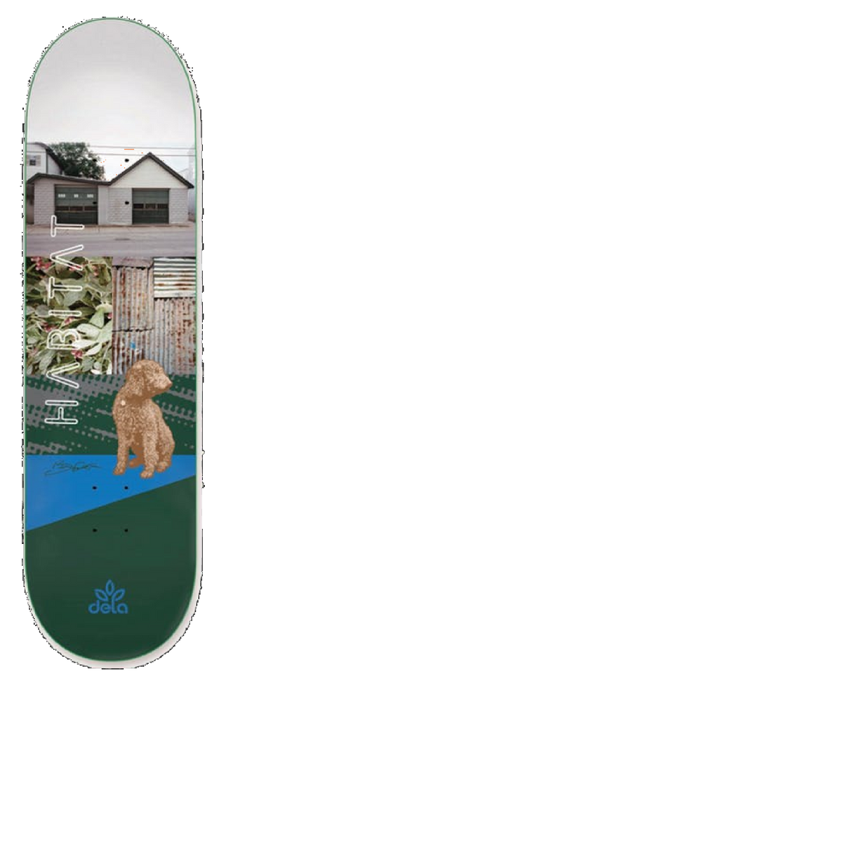 Habitat Eye Level Skateboard Deck - Dela 8.125''
