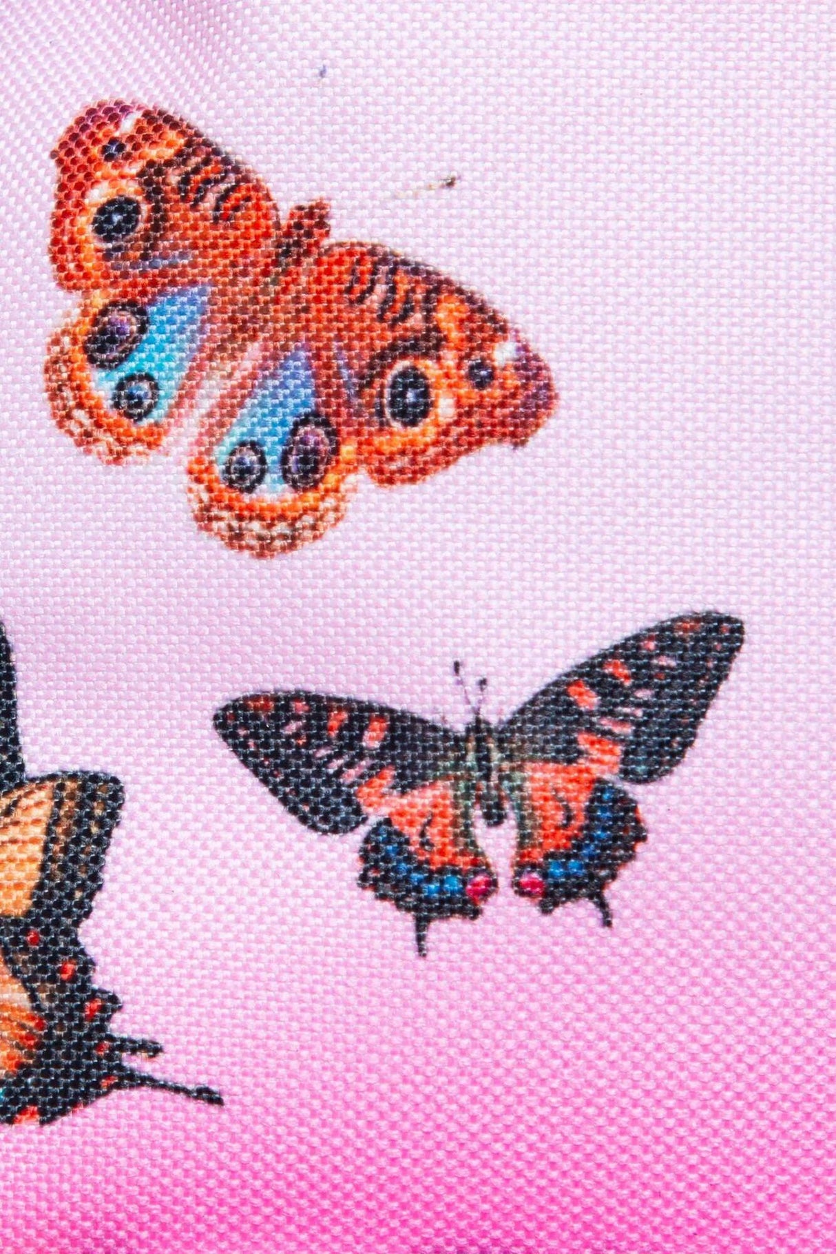 Hype Gradient Butterfly 18L Backpack - Multi